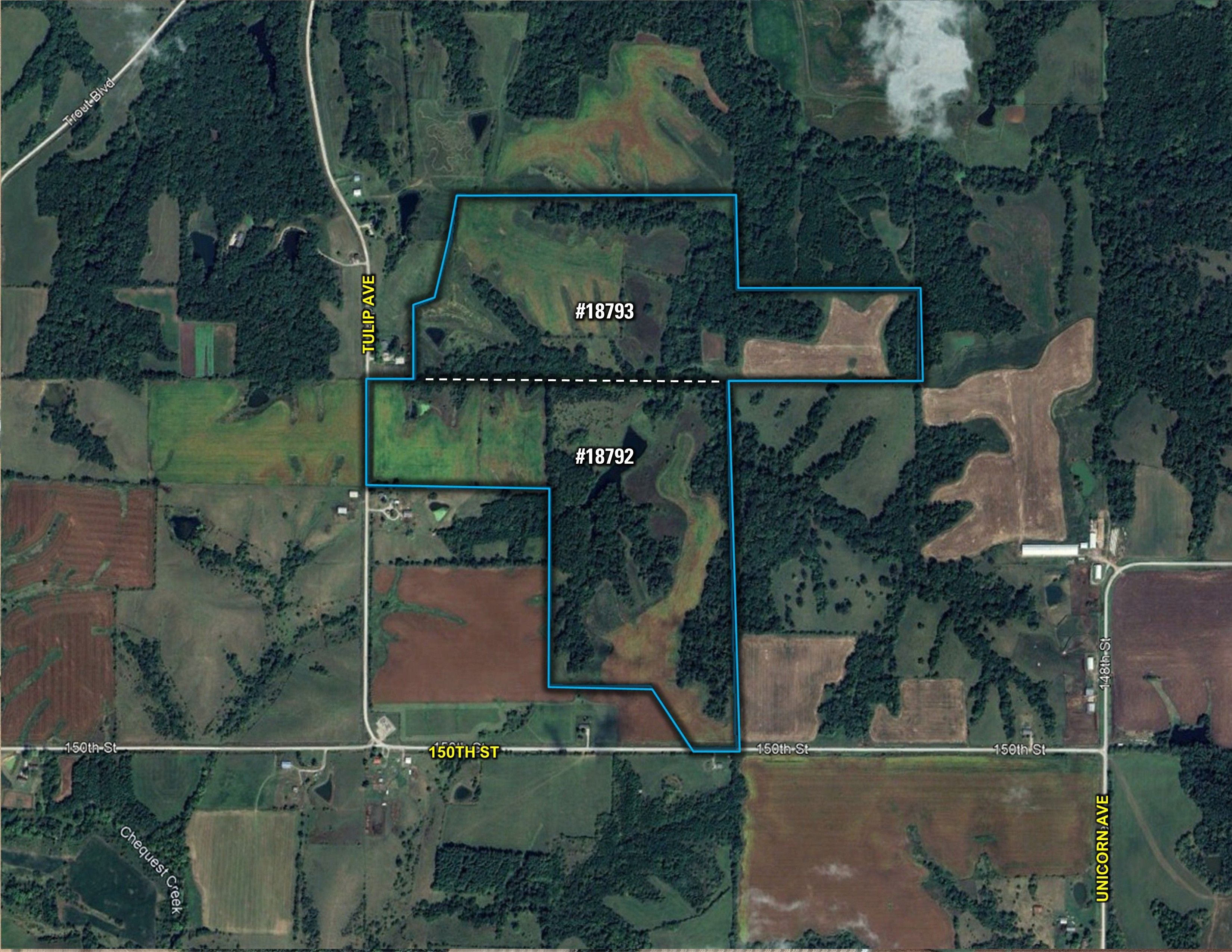 Listing Photo: Google Close Wolfe 1